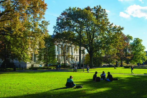 Outdoor Quad